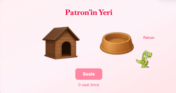 Pet seçeneği 1